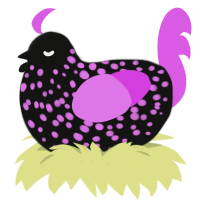 A black and orchid chicken with a speckle pattern