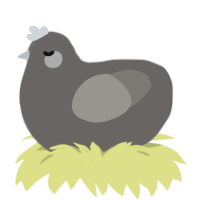 Cement, a grey and ash chicken