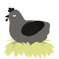 A grey and sable chicken