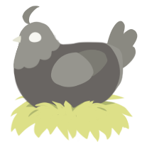 A grey and ash chicken with a head pattern