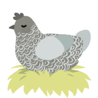 A ash and silver chicken with a double-lace pattern