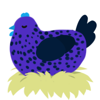 A indigo and tumblr chicken with a speckle pattern