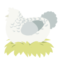 whiteboy-, a white and silver chicken with a half-lace pattern