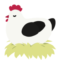 Chicken, a white and sable chicken