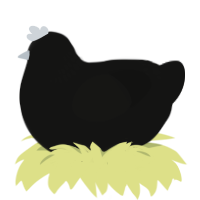 A black chicken with a neck-band pattern