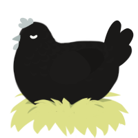 Selina Kyle, a sable chicken with a half-lace pattern