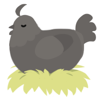 A grey chicken with a head pattern