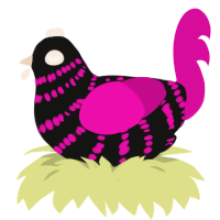 Techno, a black and fuchsia chicken with a bar pattern