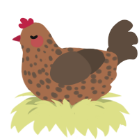 Rudy, a brown and bark chicken with a speckle pattern