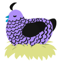 Trurple, a lilac and black chicken with a lace pattern