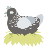 (unnamed), a grey and mist chicken with a half-lace pattern