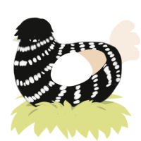 Null n Void ig, a black and cream chicken with a bar pattern