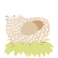 A cream and beige chicken with a lace pattern