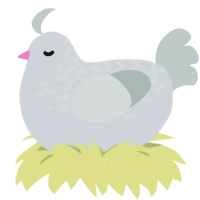 Misty, a mist and silver chicken with a half-lace pattern