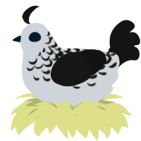 skyrim npc, a mist and black chicken with a half-lace pattern