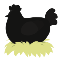 A black and sable chicken