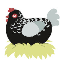 A sable and silver chicken with a half-lace pattern