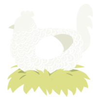 A white chicken with a double-lace pattern