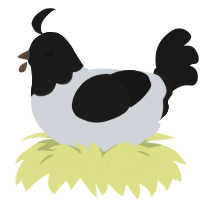 Magpie, a mist and sable chicken with a head pattern