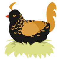 A sable and orange chicken with a half-lace pattern