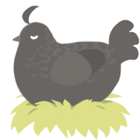 Quarter, a grey chicken with a half-lace pattern