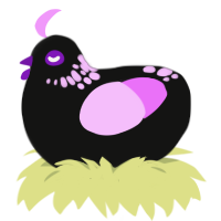A black and lavender chicken with a neck-speckle pattern