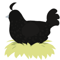 A black and sable chicken with a speckle pattern