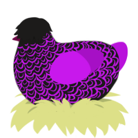 A sable and amethyst chicken with a double-lace pattern