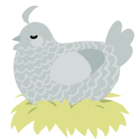 Spork, a silver chicken with a lace pattern