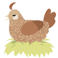 A beige and brown chicken with a double-lace pattern