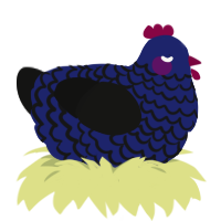 Rex, a navy and black chicken with a lace pattern