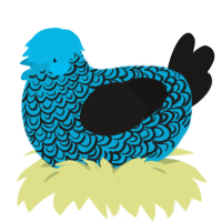 A cerulean and sable chicken with a double-lace pattern