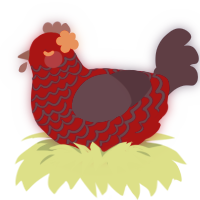 A maroon and navy chicken with a lace pattern