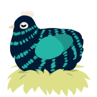A tumblr and turquoise chicken with a bar pattern