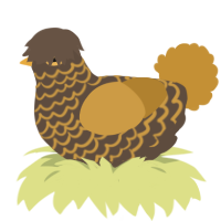A bark and gold chicken with a lace pattern