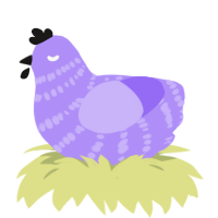A lilac chicken with a bar pattern