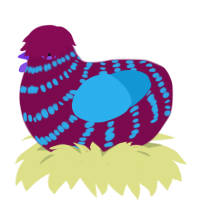 Floof, a wine and sky chicken with a bar pattern