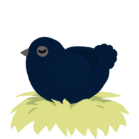 Swoop, a tumblr chicken with a lace pattern
