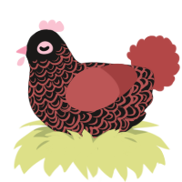 A sable and red chicken with a double-lace pattern