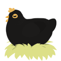 A sable chicken with a neck-band pattern
