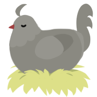 A ash chicken with a head pattern