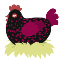 Misdemeanor, a black and maroon chicken with a speckle pattern