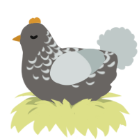A grey and silver chicken with a half-lace pattern