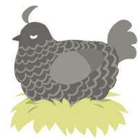 A grey and ash chicken with a lace pattern