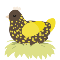poopoopeepee, a bark and yellow chicken with a speckle pattern
