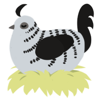 A mist and sable chicken with a half-bar pattern
