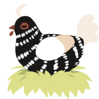 Loon, a sable and cream chicken with a bar pattern