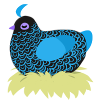 Neon, a sable and sky chicken with a double-lace pattern