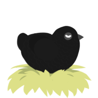 hey, a sable chicken with a lace pattern