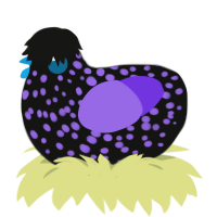 Vapor, a black and blurple chicken with a speckle pattern